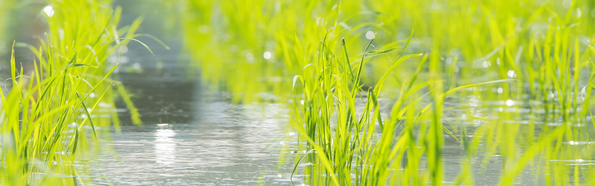 特定商取引法に基づく表記見出し